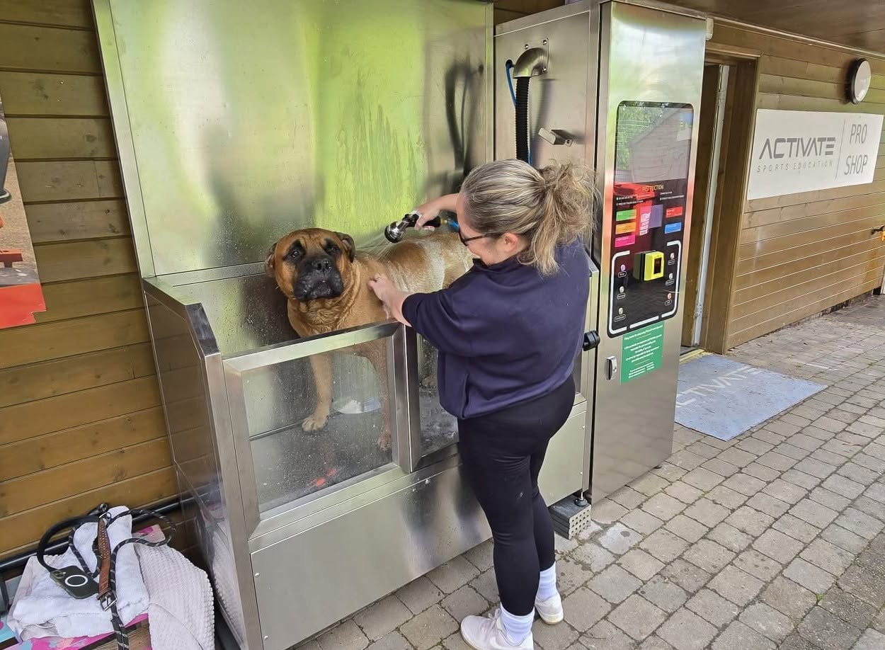 A large brown dog being washed at the Lucky Mutt machine in Hereford